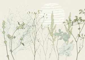 Dämpad botanisk soluppgång av Annick