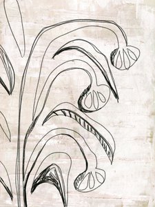 Organic Line Botanicals