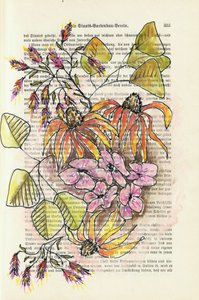 Vintage botanisk studie