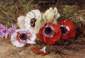Anemoner av Annie Feray Mutrie