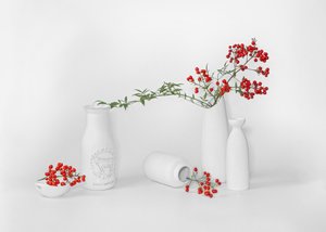 Minimalistisk uppställning med röda bär av Annie Poreider