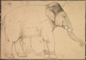 Teckning av en elefant