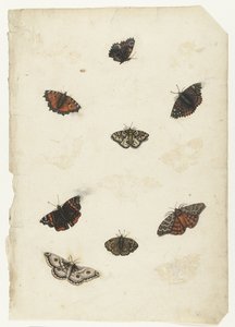 Åtta fjärilar Lombard album (serietitel) av Anonymous