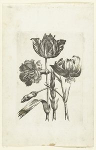 Anjer, tulp en lelie Nya blomikoner (serietitel) av Anonymous
