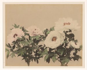 Blomsterstilleben med pioner av Anonymous