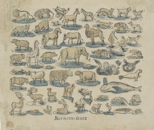 tjänare Natural History (titel på objekt) av Anonymous