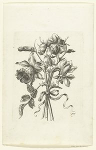 Tre blommor, inklusive en påsklilja och en nejlika Novae Florum Icones (serietitel) av Anonymous