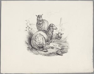 Tre får vid ett staket Sex små djurstudier (serietitel) Six Little Beast Studies (serietitel på objekt) av Anonymous
