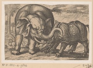 En noshörning slåss mot en elefant Fighting Animals (kopior) (serietitel) av Anonymous