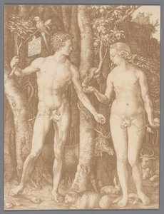 Fotoreproduktion av gravyren Adam och Eva av Albrecht Dürer av Anonymous