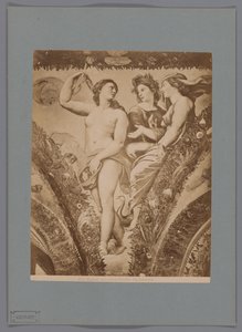 Fotoreproduktion av fresken Amor en Psyche i Loggia di Psyche, Villa Farnesina i Rom Rom. Amor och Psyche. Farnesina (titel på objekt) av Anonymous