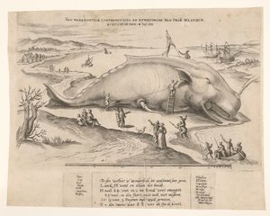 Strandad val nära Antwerpen, 1577 Waerachtich conterfeytsel och storleken på denna[n] val, ghevanghe[n] den 2 juli 1577 (titel på objekt) av Anonymous