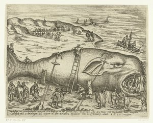 Strandade Walvis nära Berckhey, 1598 Warhafttigh And Wonderful Monster eller Pottfisch i form av en val, från vilken Möer hade slammat upp mellan Catwyck och Schevelingen som Wyter i relationen ercleret den 4 februari Anno 1598 (tit) av Anonymous