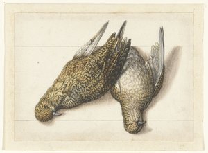 Goudplevier Lombard album (serietitel) av Anonymous