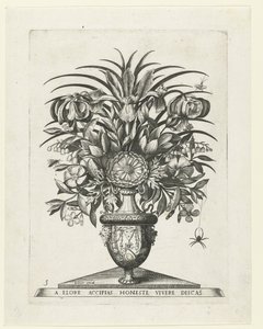 Grotesk vas med två mascarons på vardera sidan av en bukranion Vaser med blommor (serietitel) av Anonymous