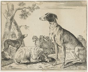 hundkoja av Anonymous