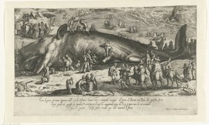 Kopia av den strandade valen vid Berckhey från 1598 när valen stod vid Ancona 1601 Riratto d