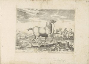 Kudde wilde paarden Barnhästkapplöpning (titel på objekt) Paardenrassen uit de Koninklijke stallen van Don Juan van Oostenrijk (serietitel) En häst, där alla typer av adelsmän: utvalda från olika delar av världen kännetecknas av hästarnas beteende (...) av Anonymous