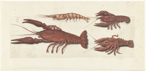 Langoustine, två kräftor och räkor Lombard album (serietitel) av Anonymous