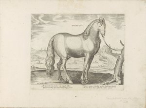 Paard uit Bretagne (Storbritannien) Brittisk (titel på objekt) Paardenrassen uit de Koninklijke stallen van Don Juan van Oostenrijk (serietitel) En häst, där alla typer av adelsmän: utvalda från olika delar av världen kännetecknas av hästarnas beteende (.. av Anonymous