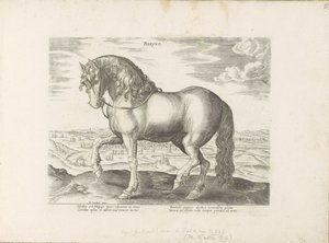 Paard ut Friesland Phryso (titel på objekt) Paardenrassen uit de Koninklijke stallen van Don Juan van Oostenrijk (serietitel) Hästen, där alla typer av adelsmän: beteendet hos hästar som skiljer sig från olika delar av världen utvalda (...) (serietitel på  av Anonymous