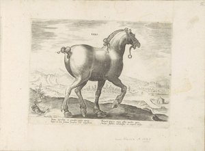 Paard uit Saksen Saxo (titel på objekt) Paardenrassen uit de Koninklijke stallen van Don Juan van Oostenrijk (serietitel) Hästen, där alla typer av adelsmän: beteendet hos hästar som skiljer sig från olika delar av världen utvalda (...) (serietitel på obje av Anonymous