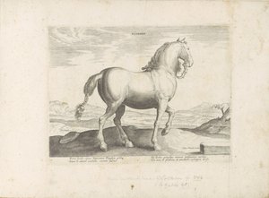 Paard uit Vlaanderen Flandern (titel på objekt) Paardenrassen uit de Koninklijke stallen van Don Juan van Oostenrijk (serietitel) Hästen, där alla typer av adelsmän: beteendet hos hästar som skiljer sig från olika delar av världen utvalda (...) (serietitel av Anonymous