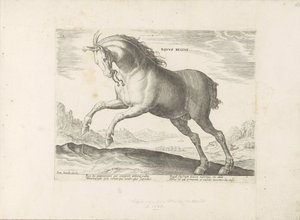 Paard van het ras Royal Horse (de Koninklijke) The Royal Horse (titel på objekt) Paardenrassen uit de Koninklijke stallen van Don Juan van Oostenrijk (serietitel) En häst, där alla typer av adelsmän: kännetecknas av seder av hästar från olika delar av värl av Anonymous