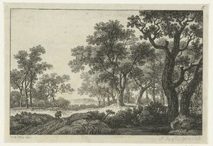 Vägen genom skogen av Anonymous