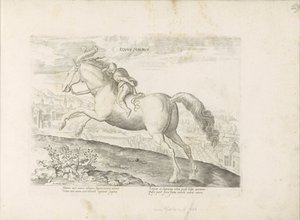 Renpaard träffade Ruiter Morisk häst (titel på objekt) Paardenrassen uit de Koninklijke stallen van Don Juan van Oostenrijk (serietitel) Hästen, där alla typer av adelsmän: sätten för hästar som skiljer sig från olika delar av världen utvalda (...) (seriet av Anonymous
