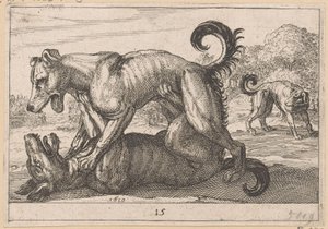 Två parnings- och två kamphundar Fighting Animals (kopior) (serietitel) av Anonymous
