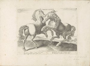 Två vechtende paarden Horse Duell (titel på objekt) Hästen, där alla typer av adelsmän: beteendet hos hästar som skiljer sig från olika delar av världen utvalda (...) (serietitel på objekt) av Anonymous