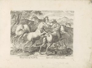 Vechtende paarden met een onder de fot gelopen paard Hästen, där alla typer av adelsmän: beteendet hos hästar som skiljer sig från olika delar av världen utvalda (...) (serietitel på objekt) av Anonymous