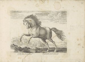 Vildhäst Equus Liber et Incopositus (titel på objekt) Hästen, där alla typer av adelsmän: beteendet hos hästar som skiljer sig från olika delar av världen utvalda (...) (serietitel på objekt) av Anonymous