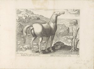 Zephyrus befrukt en merrie Paardenrassen uit de Koninklijke stallen van Don Juan van Oostenrijk (serietitel) Hästen, där alla typer av adelsmän: beteendet hos hästar som skiljer sig från olika delar av världen utvalda (...) (serietitel på objekt) av Anonymous