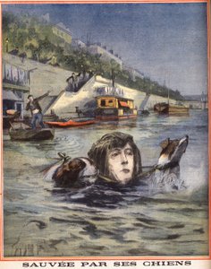 En kvinna faller i Seine räddas av sina hundar i Paris. Gravyr i "" Le petit parisien"" den 14/08/1910. Privat samling. av Anonymous Anonymous
