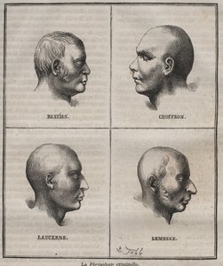 Criminal Phrenology in the Brest Bagne (porträtt som skildrar de fysionomiska egenskaperna hos olika typer av brottslingar). Gravyr i "Fångarnas historia från deras skapelse till våra dagar" (1877) av Pierre Zaccone (1817-1895) (Colonia Penale - Penal av Anonymous Anonymous