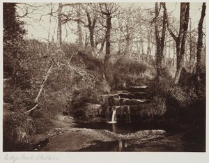 Edge Park, Cheshire, ca 1865 (albumenutskrift från glasnegativ) av Anonymous Anonymous