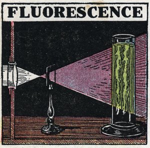 Fluorescens: bevis på kropparnas fluorescens. Anonym illustration från 1925. Privat samling. av Anonymous Anonymous