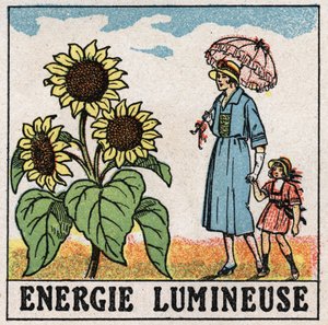 Ljusenergi: solros påverkas av solljus. Anonym illustration från 1925. Privat samling. av Anonymous Anonymous