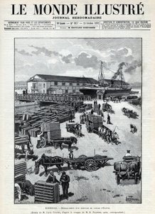 Sjöfartshandel: skällande av en ankomst av vaktel från Egypten i hamnen i Marseille. En tidning. Gravyr i "Le monde illustree" från 1892. Privat samling. av Anonymous Anonymous