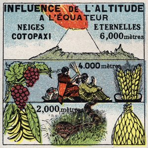 Meteorologi: höjdens inverkan på klimatet. Anonym illustration från 1925. Privat samling. av Anonymous Anonymous