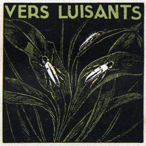 Fosforescens: glödande gröna. Anonym illustration från 1925. Privat samling. av Anonymous Anonymous
