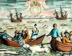 Isbjörnsjaktsscen i Kanada. 1700-talsgravyr Privat samling av Anonymous Anonymous