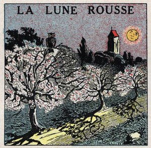 Strålning och konduktivitet: den röda månen vars ljus bränner blomknopparna. Anonym illustration från 1925. Privat samling. av Anonymous Anonymous