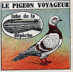 Postkontoret: Resandeduvan. Anonym illustration från 1925. Privat samling. av Anonymous Anonymous