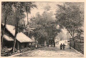 Vy över en gata från Colombo i Ceylon (Sri Lanka). Gravyr i "The Catholic Missions in the XIXth Century"" av Louis-Eugene (Louis Eugene) Louvet. privat samling. av Anonymous Anonymous
