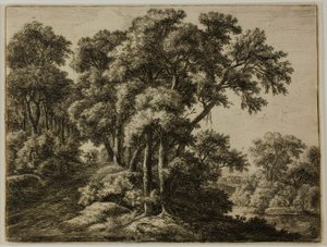 Den skogsbevuxna stigen av Anthonie Waterloo