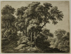 Den skogsbevuxna stigen av Anthonie Waterloo