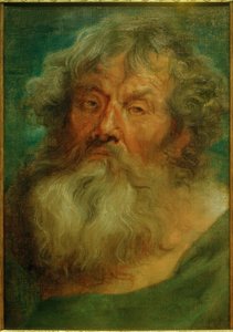 Huvudet av en gammal man av Anthony van Dyck